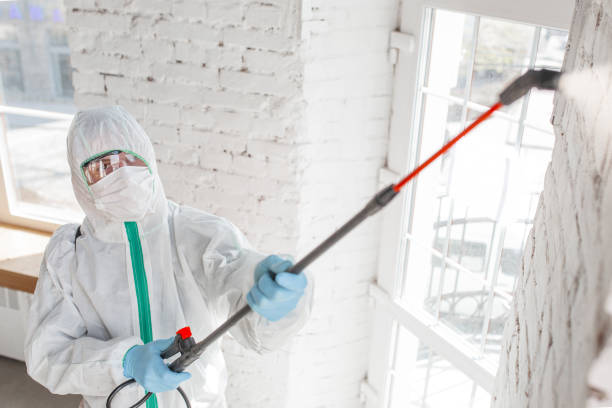 Best Environmental Consulting for Mold Prevention  in Lehigh Acres, FL