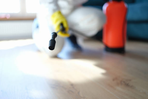 Best Residential Mold Inspection & Testing  in Lehigh Acres, FL