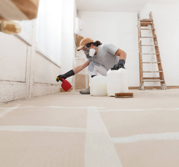 Environmental Consulting for Mold Prevention in Lehigh Acres, FL