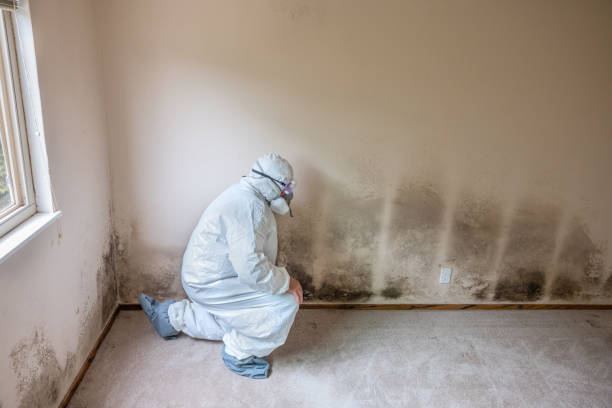 Asbestos and Lead Testing During Mold Inspection in Lehigh Acres, FL